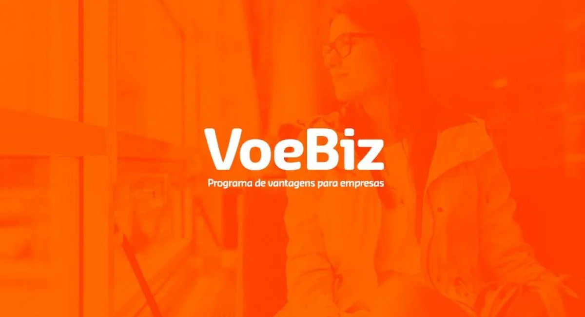 voebiz o que é