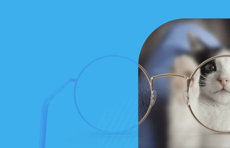 página de transparência