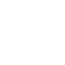Esporte-Clube-Bahia-v2017-mono 1 [Vectorized]