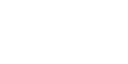 Logo_VueJS_Branco