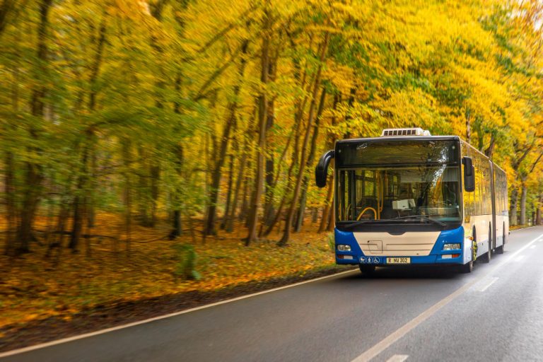 Ônibus em rodovia com árvores floridas amarelas