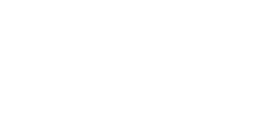 Logo_VueJS_Branco